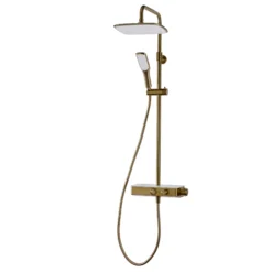 Triton Showers Single-spray Pattern Gold Effect Surface-mounted Thermostat Temperature Control Mixer Shower